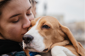 Rescued & Rehabilitated